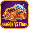 Icon of program: Dragon and Tiger Fury Cla…
