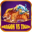 Dragon and Tiger Fury Clash