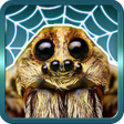 程序图标：Spider Gagambattle