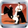 Aikido training - techniques