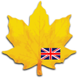 プログラムのアイコン：Learn english vocabulary
