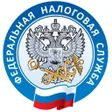 Иконка программы: Налоги ФЛ