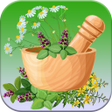 Icon of program: داروخانه همراه - طب سنتی …