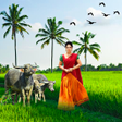 程序图标：Village photo editor fram…