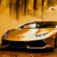 Ícone do programa: Lamborghini Autumn Live W…