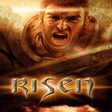 프로그램 아이콘: Risen