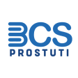 BCS Prostutiবসএস পরসতত