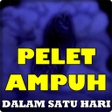 Programikonen: Pelet ampuh dalam satu ha…