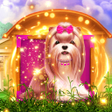Иконка программы: Golden Puppy
