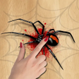Icono de programa: Spider Smasher Game
