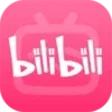Programikonen: bilibili