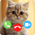 Icon of program: Cat Fake Video Call Prank…