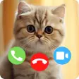 Cat Fake Video Call Prank Game