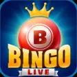Bingo Live Extravaganza