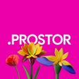 プログラムのアイコン：PROSTOR