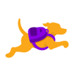 أيقونة البرنامج: Fetch Rewards