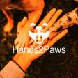 程序图标：Hands2Paws