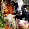 Programikonen: Farm World Mobile