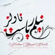 程序图标：Neelam Riasat Novels