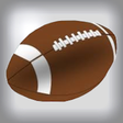 程序图标：Fantasy Football News