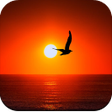 Icon of program: Sunrise Wallpaper