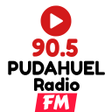 程序图标：Radio Pudahuel 90.5 FM CH…