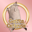 프로그램 아이콘: Gatita Octavia