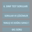 Programikonen: 6.Sınıf Tüm Dersler Test …