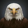 ไอคอนของโปรแกรม: I Am The Eagle: Bird Simu…
