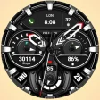 WFP 239 Analog watch face