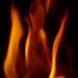 プログラムのアイコン：Fire Live Wallpaper