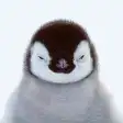 Le Pingouin ou le Manchot