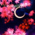 Ikona programu: 秋色幻想 和風壁紙きせかえ