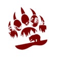 Grizzly Auto Detailing icon