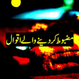 Urdu Aqwal e Zareen Collection