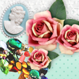 Ikona programu: JEWELS ROSES Wallpaper T…