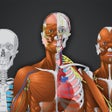 أيقونة البرنامج: Memorix Anatomy QUIZ