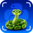 Ikona programu: Learn Python