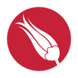 程序图标：Hands On Turkish