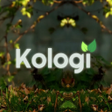 Symbol des Programms: Fortune Tiger