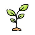 Ikon program: PlantMe