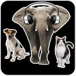 程序图标：Animal Sounds