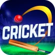 Cricket 2023