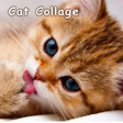 Programikonen: Cat Collage Theme