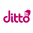 Live dittoTV: Live TV Shows News  Movies