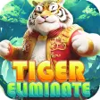 Tiger: Eliminate