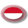 程序图标：Indonesian apps and games