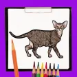 How to Draw Cat and Dog Easily
