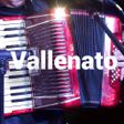 程序图标：vallenato music