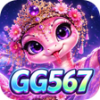 프로그램 아이콘: GG567Meter